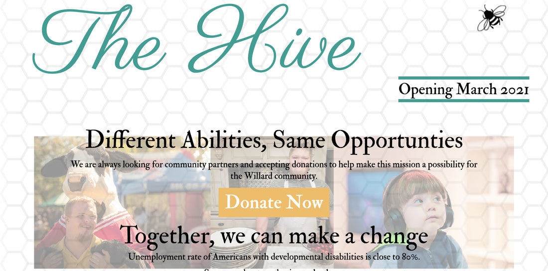 screenshot of hive of the ozarks website